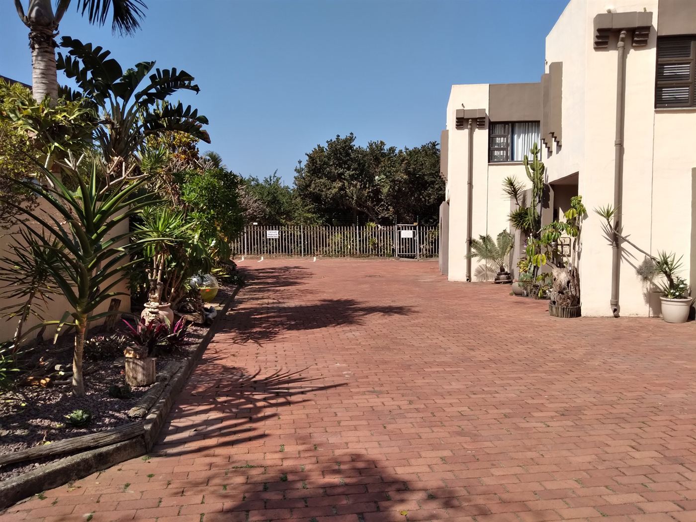 Palm-lined courtyard between the Cabana Mio duplexes