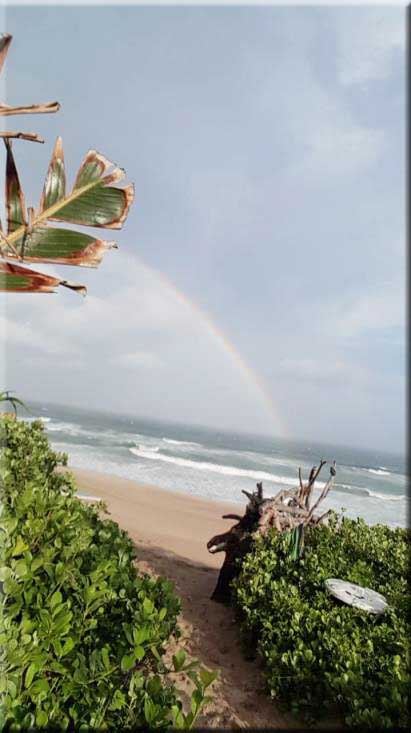 Bush pathway from the resort gate to the beach